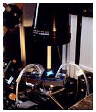 �ߴ��������